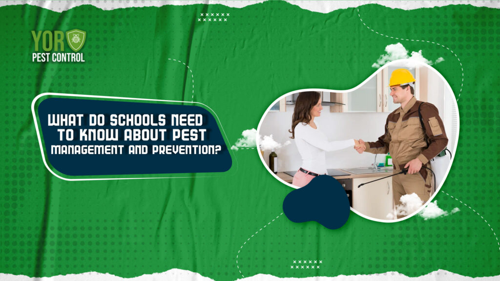 Schools Need to Know About Pest Management and Prevention